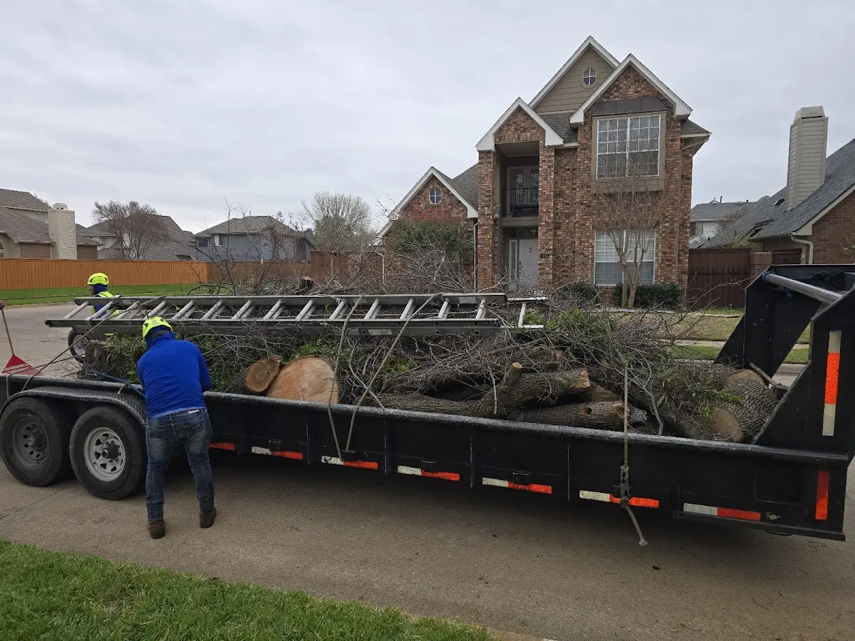 Expert Tree Removal with proper safety equipment in Christiansburg